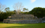 altun-ha-belize-mayan-temple4